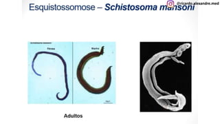 @ricardo.alexandre.med
@ricardo.alexandre.med
 