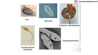 @ricardo.alexandre.med
@ricardo.alexandre.med
 