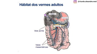 @ricardo.alexandre.med
@ricardo.alexandre.med
 