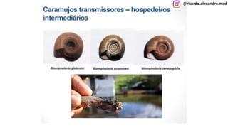 @ricardo.alexandre.med
@ricardo.alexandre.med
 