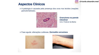 @ricardo.alexandre.med
@ricardo.alexandre.med
 