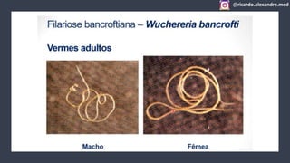 @ricardo.alexandre.med
@ricardo.alexandre.med
 