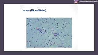 @ricardo.alexandre.med
@ricardo.alexandre.med
 