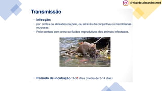 @ricardo.alexandre.med
@ricardo.alexandre.med
 