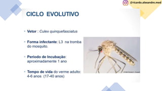 @ricardo.alexandre.med
@ricardo.alexandre.med
 