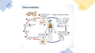 @ricardo.alexandre.med
 