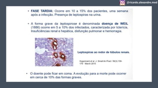 @ricardo.alexandre.med
@ricardo.alexandre.med
 