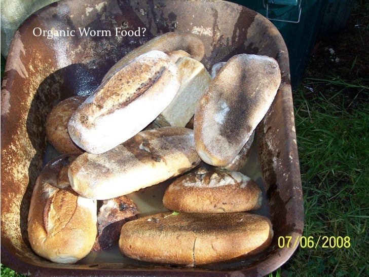 vermiponic bio recycling
