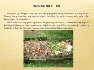 Vermi Presentation | PPTX