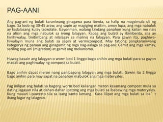 Vermi Presentation | PPTX