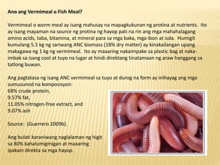 Ano ang Vermimeal o Fish Meal?

Vermimeal o worm meal ay isang mahusay na mapagkukunan ng protina at nutrients. Ito
ay isa...