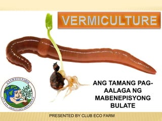 ANG TAMANG PAG-
AALAGA NG
MABENEPISYONG
BULATE
PRESENTED BY CLUB ECO FARM
 
