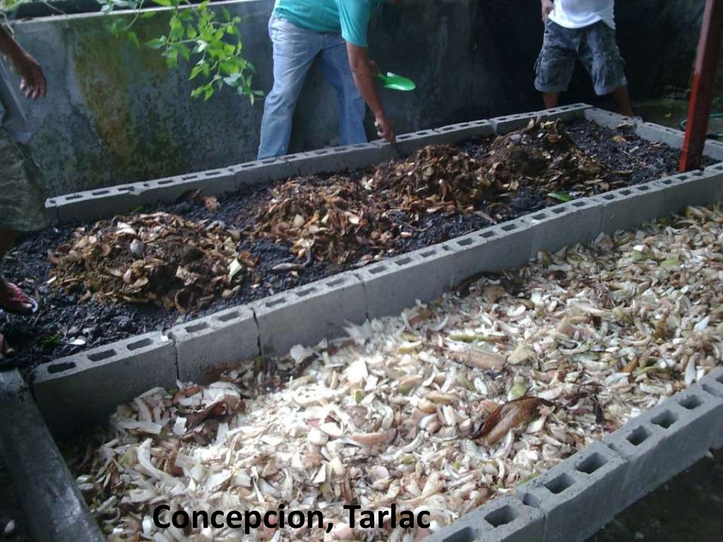 Vermiculture and in the Philippines