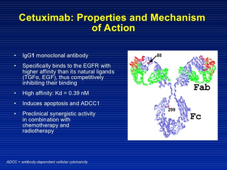 Medical Students 2011 J.B. Vermorken HEAD&NECK CANCER