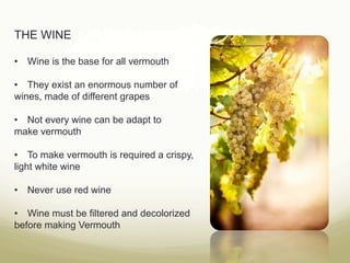 THE WINE
•  Wine is the base for all vermouth
•  They exist an enormous number of
wines, made of different grapes
•  Not every wine can be adapt to
make vermouth
•  To make vermouth is required a crispy,
light white wine
•  Never use red wine
•  Wine must be filtered and decolorized
before making Vermouth
 
