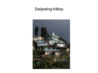 Darjeeling-hilltop 