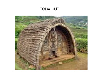 TODA HUT 