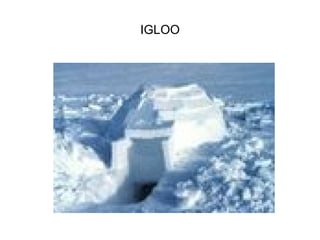 IGLOO 