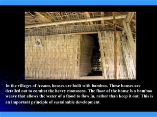 In the villages of Assam, houses are built with bamboo. These houses are
detailed out to combat the heavy monsoons. The floor of the house is a bamboo
weave that allows the water of a flood to flow in, rather than keep it out. This is
an important principle of sustainable development.
 