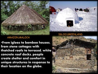 AMAZON,MALOCA 
•From igloos to bamboo houses, 
from stone cottages with 
thatched roofs to terraced, white 
concrete roof decks, people 
create shelter and comfort in 
unique structures in response to 
their location on the globe. 
IGLOO,GREENLAND 
 