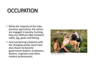 OCCUPATION
• While the majority of the tribe
practices agriculture, the others
are engaged in poultry, hunting,
they rear Mithuns (Bos frontalis)
cattle, pig, goats and fishing.
• And maintaining a balance with
the changing world, some have
also chosen to become
government leaders, employees,
doctors, engineers and other
modern professionals.
 