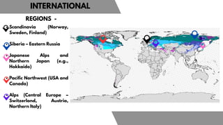 VERNACULAR ARCHITECTURE OF COLD AND HUMID CLIMATE | PDF
