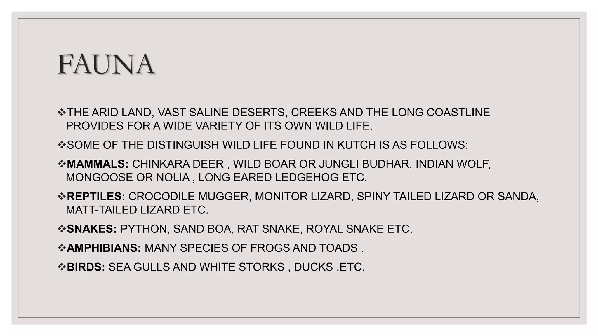 FAUNA
THE ARID LAND, VAST SALINE DESERTS, CREEKS AND THE LONG COASTLINE
PROVIDES FOR A WIDE VARIETY OF ITS OWN WILD LIFE.
SOME OF THE DISTINGUISH WILD LIFE FOUND IN KUTCH IS AS FOLLOWS:
MAMMALS: CHINKARA DEER , WILD BOAR OR JUNGLI BUDHAR, INDIAN WOLF,
MONGOOSE OR NOLIA , LONG EARED LEDGEHOG ETC.
REPTILES: CROCODILE MUGGER, MONITOR LIZARD, SPINY TAILED LIZARD OR SANDA,
MATT-TAILED LIZARD ETC.
SNAKES: PYTHON, SAND BOA, RAT SNAKE, ROYAL SNAKE ETC.
AMPHIBIANS: MANY SPECIES OF FROGS AND TOADS .
BIRDS: SEA GULLS AND WHITE STORKS , DUCKS ,ETC.
 