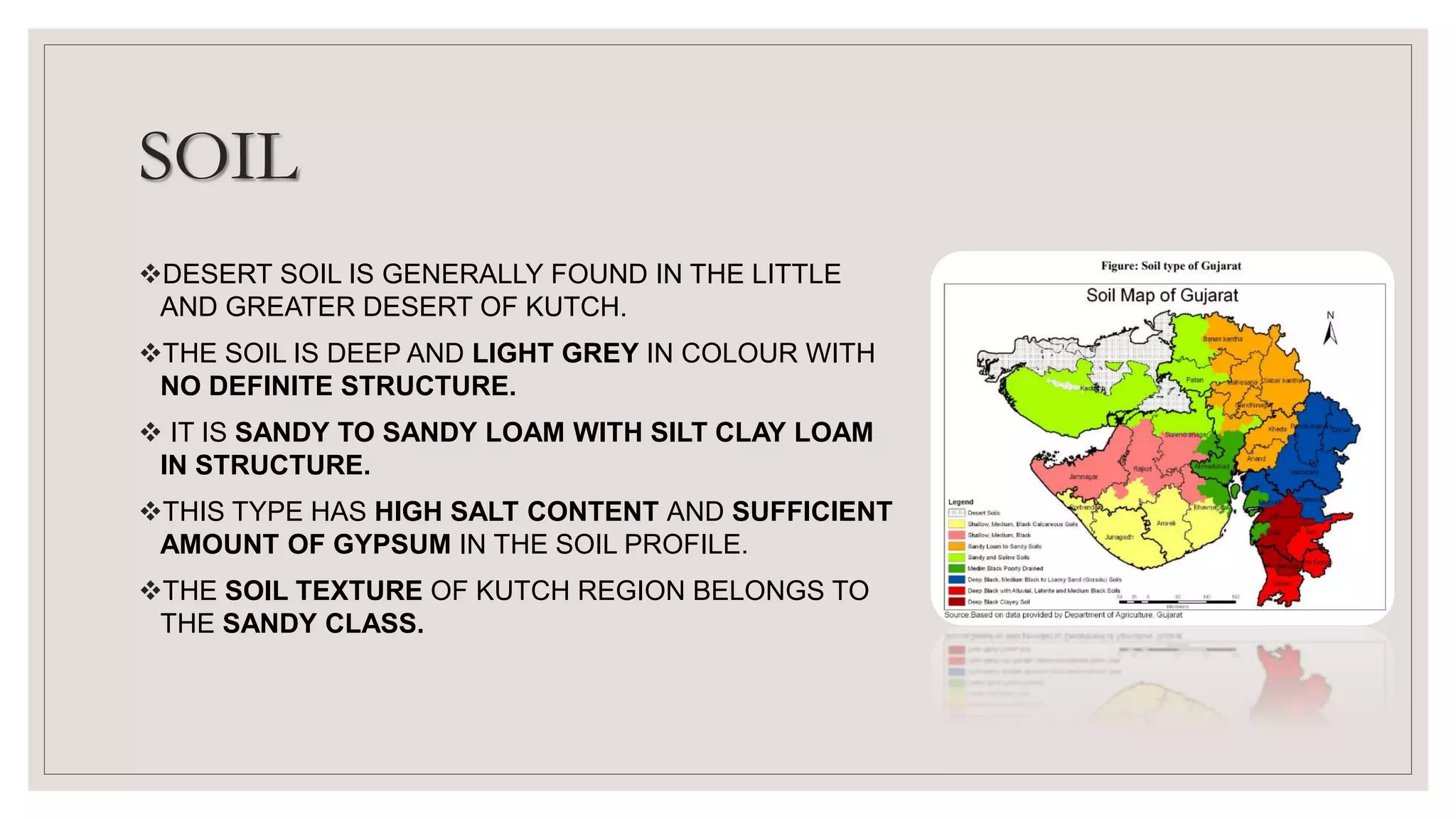 SOIL
DESERT SOIL IS GENERALLY FOUND IN THE LITTLE
AND GREATER DESERT OF KUTCH.
THE SOIL IS DEEP AND LIGHT GREY IN COLOUR WITH
NO DEFINITE STRUCTURE.
 IT IS SANDY TO SANDY LOAM WITH SILT CLAY LOAM
IN STRUCTURE.
THIS TYPE HAS HIGH SALT CONTENT AND SUFFICIENT
AMOUNT OF GYPSUM IN THE SOIL PROFILE.
THE SOIL TEXTURE OF KUTCH REGION BELONGS TO
THE SANDY CLASS.
 