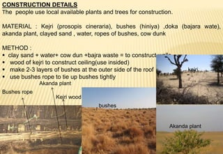 CONSTRUCTION DETAILS
The people use local available plants and trees for construction.
MATERIAL : Kejri (prosopis cineraria), bushes (hiniya) ,doka (bajara wate),
akanda plant, clayed sand , water, ropes of bushes, cow dunk
METHOD :
 clay sand + water+ cow dun +bajra waste = to construct walls
 wood of kejri to construct ceiling(use insided)
 make 2-3 layers of bushes at the outer side of the roof
 use bushes rope to tie up bushes tightly
Bushes rope
Kejri wood
Akanda plant
kejri
Akanda plant
bushes
 