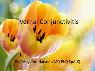 Vernal Conjunctivitis 
Prof Ariyanto Harsono MD PhD SpA(K) 
 