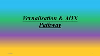 Vernalisation & AOX
Pathway
7/1/2020 1
 