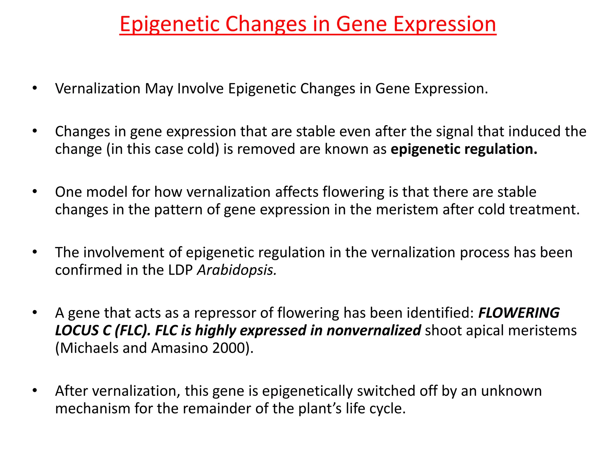 Epigenetic Changes in Gene Expression 
• Vernalization May Involve Epigenetic Changes in Gene Expression. 
• Changes in gene expression that are stable even after the signal that induced the 
change (in this case cold) is removed are known as epigenetic regulation. 
• One model for how vernalization affects flowering is that there are stable 
changes in the pattern of gene expression in the meristem after cold treatment. 
• The involvement of epigenetic regulation in the vernalization process has been 
confirmed in the LDP Arabidopsis. 
• A gene that acts as a repressor of flowering has been identified: FLOWERING 
LOCUS C (FLC). FLC is highly expressed in nonvernalized shoot apical meristems 
(Michaels and Amasino 2000). 
• After vernalization, this gene is epigenetically switched off by an unknown 
mechanism for the remainder of the plant’s life cycle. 
 