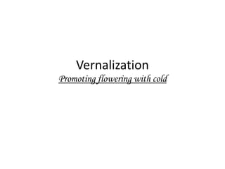 Vernalization 
Promoting flowering with cold 
 