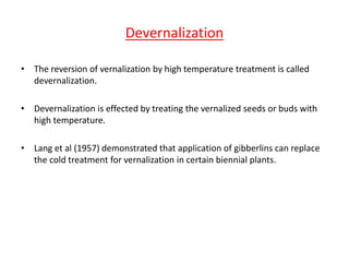 Devernalization 
• The reversion of vernalization by high temperature treatment is called 
devernalization. 
• Devernalization is effected by treating the vernalized seeds or buds with 
high temperature. 
• Lang et al (1957) demonstrated that application of gibberlins can replace 
the cold treatment for vernalization in certain biennial plants. 
 