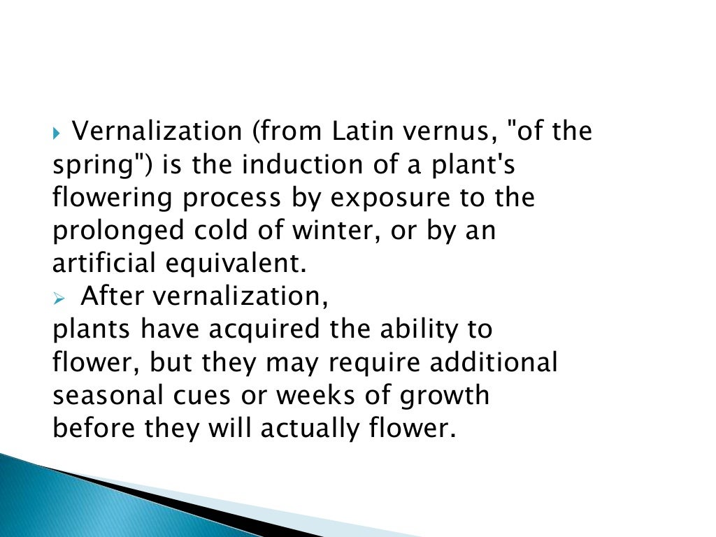 Vernalization (Plant Physiology)