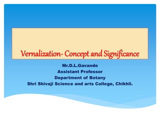 Vernalization- Concept and Significance
Mr.D.L.Gavande
Assistant Professor
Department of Botany
Shri Shivaji Science and arts College, Chikhli.
 