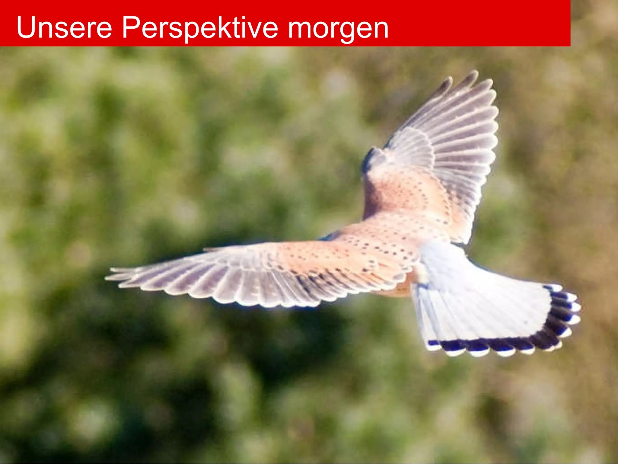 Unsere Perspektive morgen Unsere Perspektive morgen 