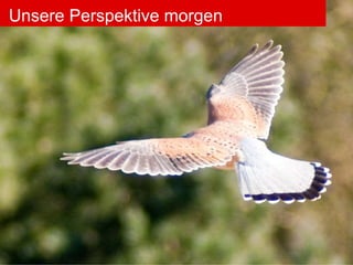 Unsere Perspektive morgen Unsere Perspektive morgen 