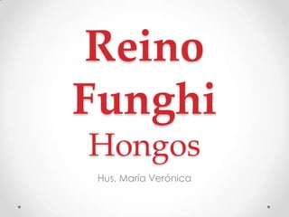 Reino
Funghi
Hongos
 Hus, María Verónica
 