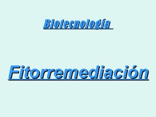 Biotecnología



Fitorremediación
 