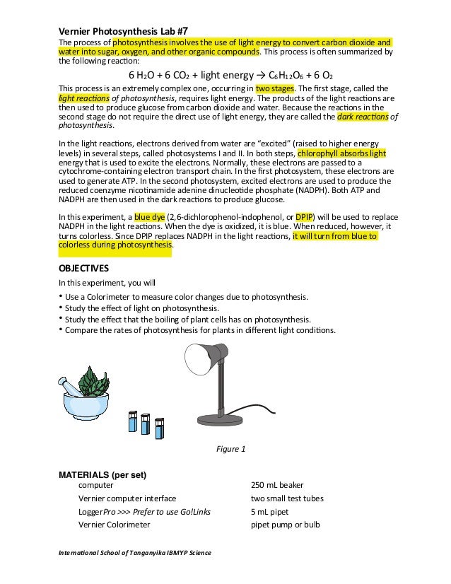 biology photosynthesis lab biology photosynthesis lab