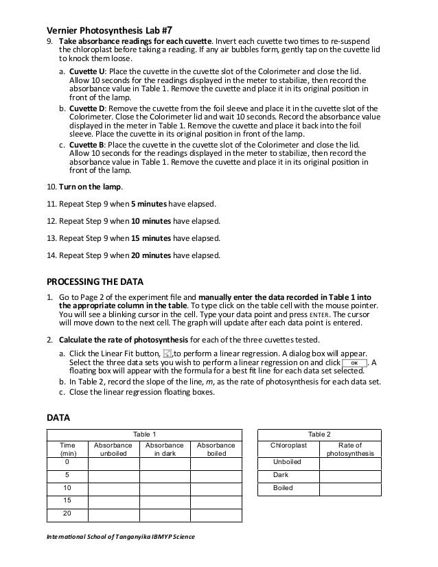 Lab report photosynthesis