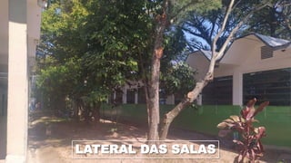 LATERAL DAS SALAS
 