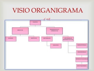 VISIO ORGANIGRAMA
       
 