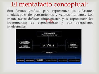 El mentafacto conceptual:
Son formas gráficas para representar las diferentes
modalidades de pensamientos y valores humanos. Los

                        
mente factos definen cómo existen y se representan los
instrumentos de conocimiento y sus operaciones
intelectuales.
 