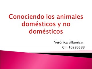 Verónica villamizar  C.I: 16296588 