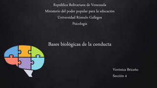 República Bolivariana de Venezuela
Ministerio del poder popular para la educación
Universidad Rómulo Gallegos
Psicología
Bases biológicas de la conducta
Verónica Briceño
Sección 4
 