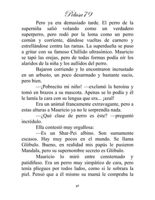 Pelusa79
67
Pero ya era demasiado tarde. El perro de la
superniña salió volando como un verdadero
superperro, pero rodó por la loma como un perro
común y corriente, dándose vueltas de carnero y
estrellándose contra las ramas. La superdueña se puso
a gritar con su famoso Chillido ultrasónico. Mauricio
se tapó las orejas, pero de todas formas podía oír los
alaridos de la niña y los aullidos del perro.
Bajaron corriendo y lo encontraron incrustado
en un arbusto, un poco desarmado y bastante sucio,
pero bien.
—¡Pobrecito mi niño! —exclamó la heroína y
tomó en brazos a su mascota. Apenas se lo podía y él
le lamía la cara con su lengua que era... ¡azul!
Era un animal francamente extravagante, pero a
estas alturas a Mauricio ya no le sorprendía nada.
—¿Qué clase de perro es éste? —preguntó
incrédulo.
Ella contestó muy orgullosa:
—Es un Shar-Pei albino. Son sumamente
escasos. Hay muy pocos en el mundo. Se llama
Glóbulo. Bueno, en realidad mis papás le pusieron
Mandala, pero su supernombre secreto es Glóbulo.
Mauricio lo miró entre consternado y
patidifuso. Era un perro muy simpático de cara, pero
tenía pliegues por todos lados, como si le sobrara la
piel. Pensó que a él mismo su mamá le compraba la
 
