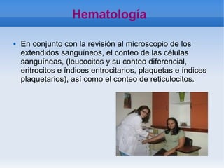    
Hematología
 En conjunto con la revisión al microscopio de los
extendidos sanguíneos, el conteo de las células
sanguíneas, (leucocitos y su conteo diferencial,
eritrocitos e índices eritrocitarios, plaquetas e índices
plaquetarios), así como el conteo de reticulocitos.
 