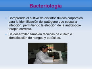    
Bacteriología
 Comprende el cultivo de distintos fluidos corporales
para la identificación del patógeno que causa la
infección, permitiendo la elección de la antibiótico-
terapia correcta.
 Se desarrollan también técnicas de cultivo e
identificación de hongos y parásitos.
 